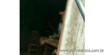 IMBITUBA: Sob surto psicótico, homem é abordado em sua residência, corre atrás de PMs com facão e precisa ser imobilizado - Portal AHora