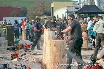 Holztage auf der Pohlschen Heide: Erleben und experimentieren - Westfalen-Blatt