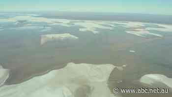 Miner barred from drilling at Lake Torrens as First Nations group triumphs in Supreme Court