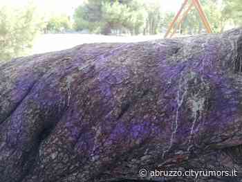 Pescara, le piante del parco Di Cocco imbrattate di vernice-FOTO - Abruzzo Cityrumors