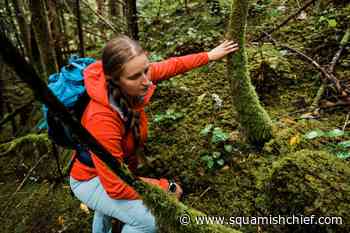 How to recreate in the Sea to Sky and not die - Squamish Chief