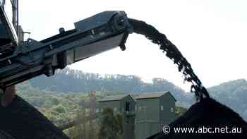 Wollongong Resources plans to extend Russell Vale after South32 abandons Dendrobium proposal