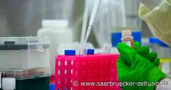 40 Neuinfektionen mit Corona im Kreis Merzig-Wadern registriert - Saarbrücker Zeitung