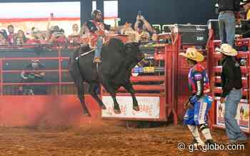 Peões disputam título em Rodeio Internacional da Festa do Peão de Barretos 2022; FOTOS - Globo