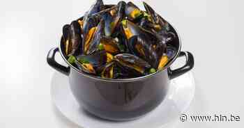 Standaard Meerbeek serveert hele weekend lang mosselen | Kortenberg | hln.be - Het Laatste Nieuws