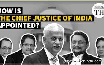 Watch | How is the Chief Justice of India appointed? - The Hindu
