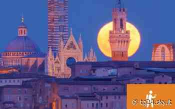Siena in 101 luoghi e 10 itinerari - Sky Tg24