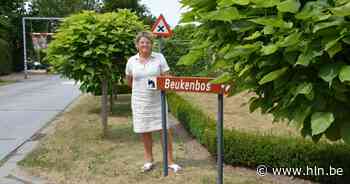 Beukenbos groeit met 1,3 hectare - Het Laatste Nieuws