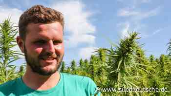 Schwabhausen: Hanfplantage wird zu Social-Media-Hit - Süddeutsche Zeitung - SZ.de