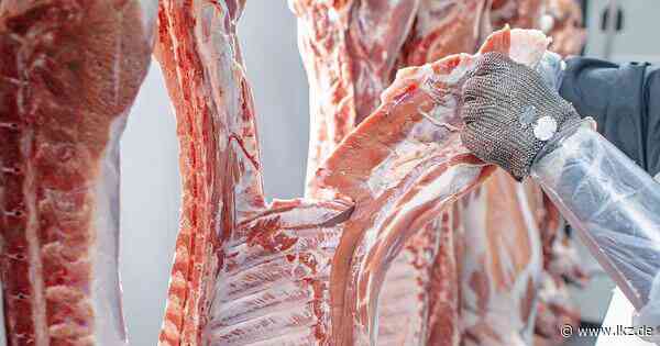 Tierquälerei-Vorwürfe rund um Schlachtbetrieb von Metzgerei Kühnle in Backnang ausgeweitet - Ludwigsburger Kreiszeitung