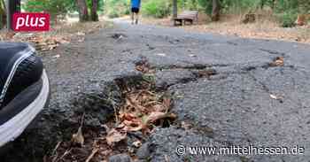 Gladenbach: Stolperfallen auf Spazierweg sollen verschwinden - Mittelhessen