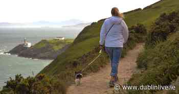 We asked readers for their favourite days out in Dublin - here are their suggestions - Dublin Live