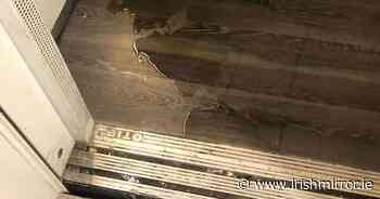 Puddle of pee found in lift of Dublin apartment complex by disgusted residents - Irish Mirror