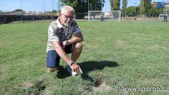 Melzo, troppe buche al campo sportivo: via all’operazione scaccia-conigli - IL GIORNO