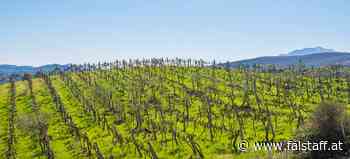 Albaniens Welt-Weinerbe