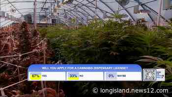 New York accepting applications for first retail dispensaries - News 12 Long Island