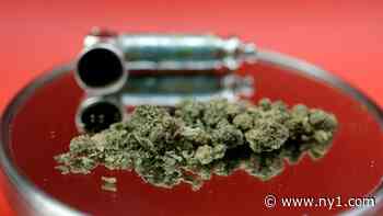 State begins taking applications for retail cannabis dispensary licenses - Spectrum News NY1