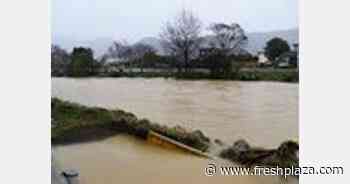 Nelson farmers prepare for cleanup and count the cost of flood damage - FreshPlaza.com