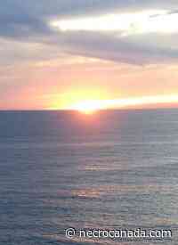 William Bill Nelson Plant September 14 1944 August 18 2022 - Nécrologie Canada