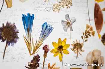 Exeter’s museum acquires major artwork by Exeter artist - Exeter City Council