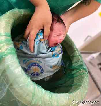 'Ofurô terapêutico' auxilia na recuperação de bebês prematuros em hospital de Barcarena, no Pará - Globo