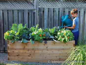 Growing Things: Raised beds are always a great way to garden