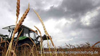 „Bauer sucht Frau“-Dreharbeiten (RTL): Landwirt packt aus