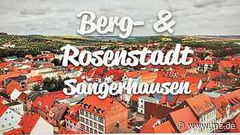 Zuzug: Wie Sangerhausen jetzt im Internet um neue Einwohner wirbt - Mitteldeutsche Zeitung