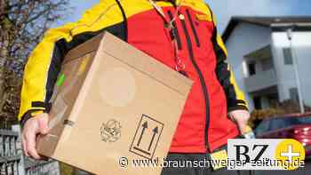 Braunschweigerin bestellte munter im Internet – Bewährungsstrafe - Braunschweiger Zeitung