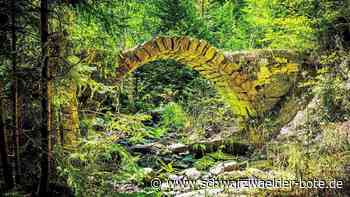 Trockenheit im Kreis Calw: Manches kann für immer verloren gehen
