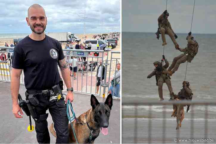 Ruim 120 veiligheidshonden tonen hun kunnen op K9-day op strand: “We blijven nog steeds wachten op volwaardig statuut voor de honden”
