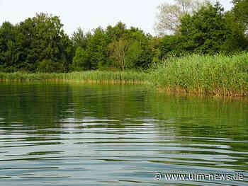 Gesundheitsamt warnt vor Blaualgen in Ludwigsfelder Baggersee