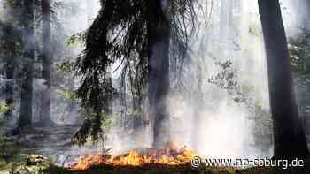 Waldbrände - Feuerwehrverband fordert geländegängige Fahrzeuge - Neue Presse Coburg
