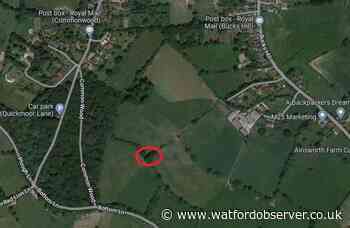 Emergency services network phone mast approved in Bucks Hill