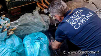 I prodotti "tarocchi" nascosti nei tombini di Roma