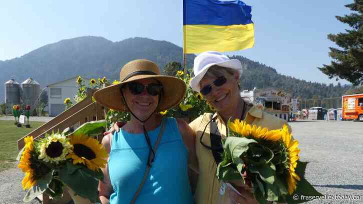 Chilliwack Sunflower Festival shows solidarity by hosting Ukrainian Day