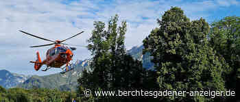 61-Jähriger wird bei Holzarbeiten am Grubstein von Baum überrollt - Berchtesgadener Anzeiger