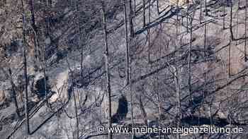 Waldsperre nach Brand in Sächsischer Schweiz aufgehoben