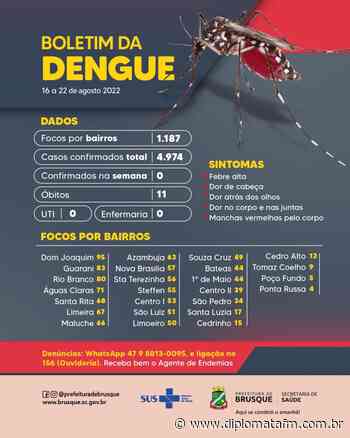 Brusque segue sem registro de novos casos de dengue - Diplomata FM