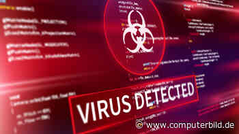 Trojaner: So erkennen und entfernen Sie getarnte Viren - COMPUTER BILD