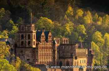 Heidelberg platziert sich doppelt - Mannheimer Morgen