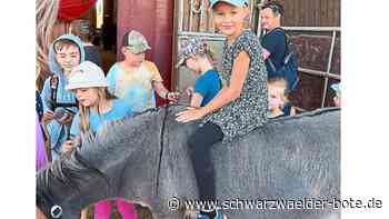 Ferienprogramm Nagold: Mit dem    Bürgerforum geht es  zu Esel Paul  und  seinen Schafen