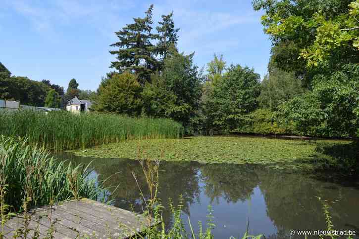 Vijver Domein de Renesse-droogte: 1-0