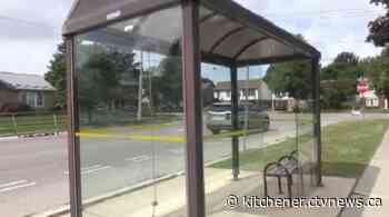 Hate-motivated graffiti in Kitchener bus shelter under investigation - CTV News Kitchener