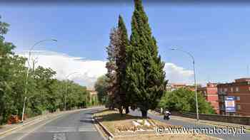 Via libera alle motoseghe: per il Campidoglio ci sono cipressi e tigli da tagliare con urgenza