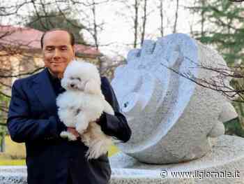 "Tutelare cani e gatti". Berlusconi sposa la causa animalista