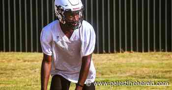 PHP Game Preview: Cayuga Wildcats vs. Cushing Bearkats - Palestine Herald Press