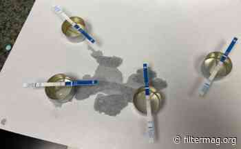 Are Fentanyl Test Strips Helpful for Counterfeit Pharmaceutical Pills? - Filter