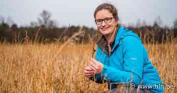 Hooibeekhoeve zoekt gidsen voor rondleidingen op melkveebedrijf | Geel | hln.be - Het Laatste Nieuws