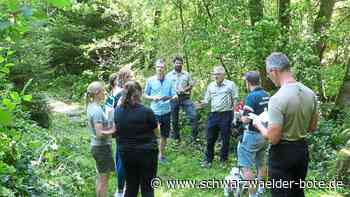 Angebot im Kleinenztal: Erlebnispfad "Spurenlese" für die ganze Familie